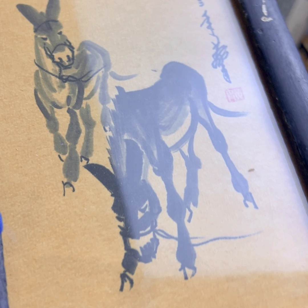 茶宠哈哈哈哈哈哈哈哈哈哈