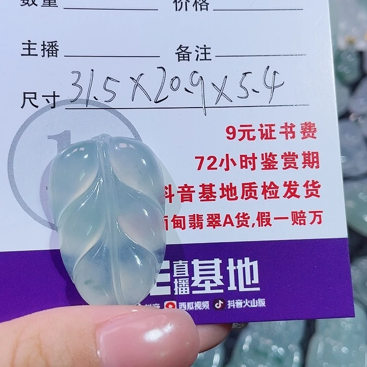 馨***儿翡翠18K金镶嵌颈饰叶子