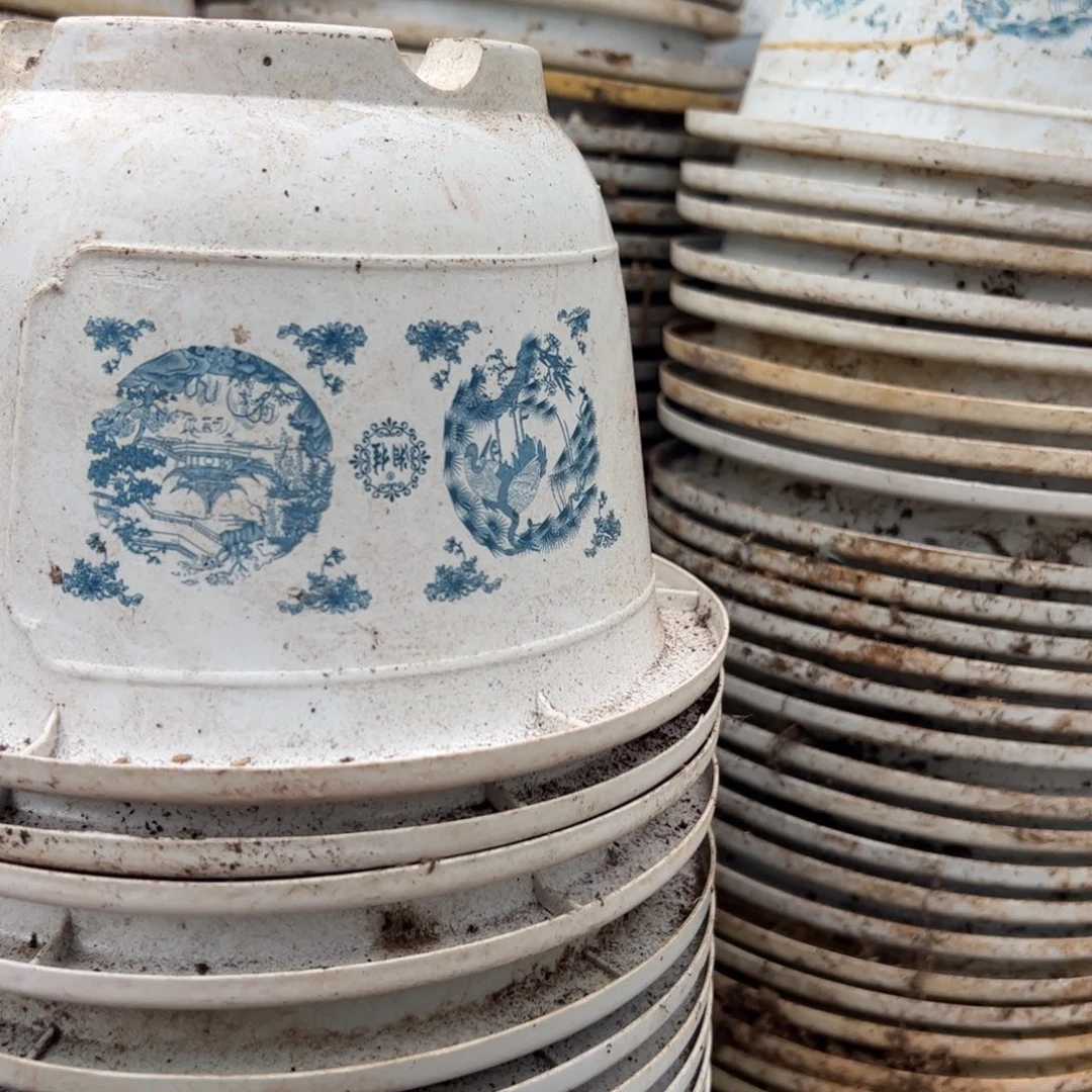 富贵花开盆18.5口径12.5高 20个