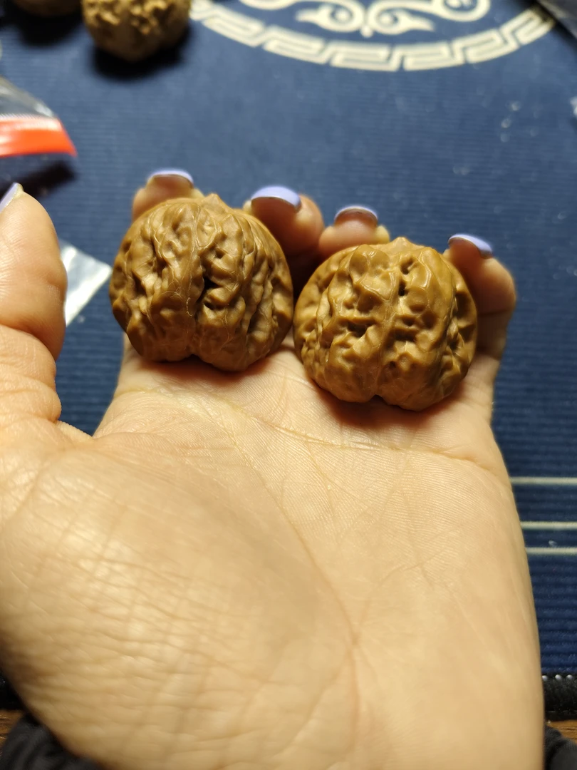 文玩核桃大蛤蟆头