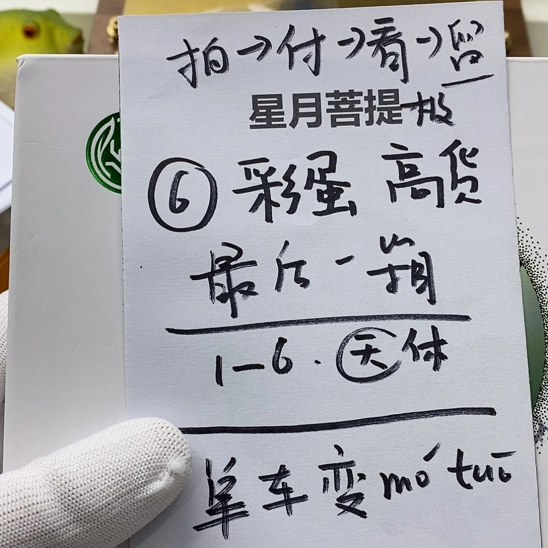 手串星月菩提62。