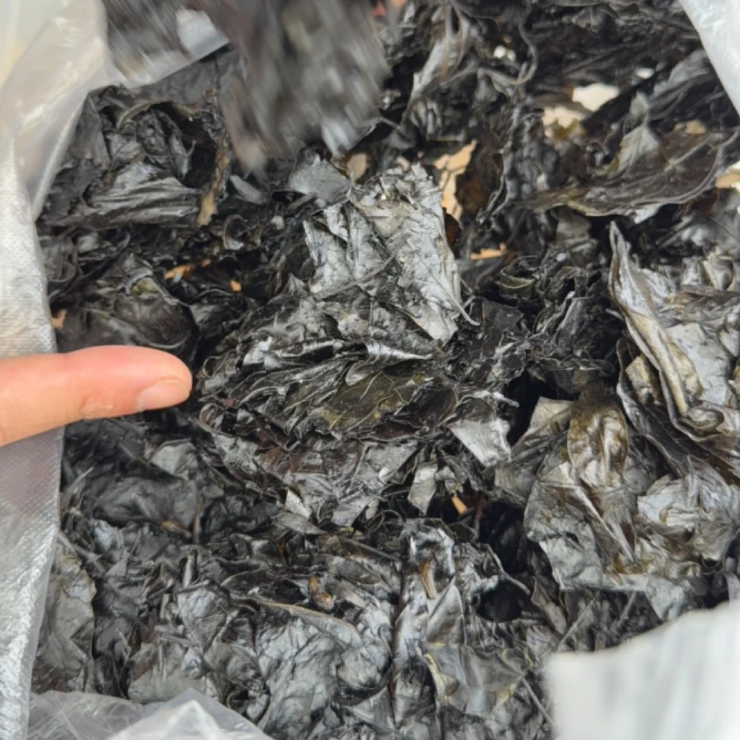 贵州农家一做苦丁茶