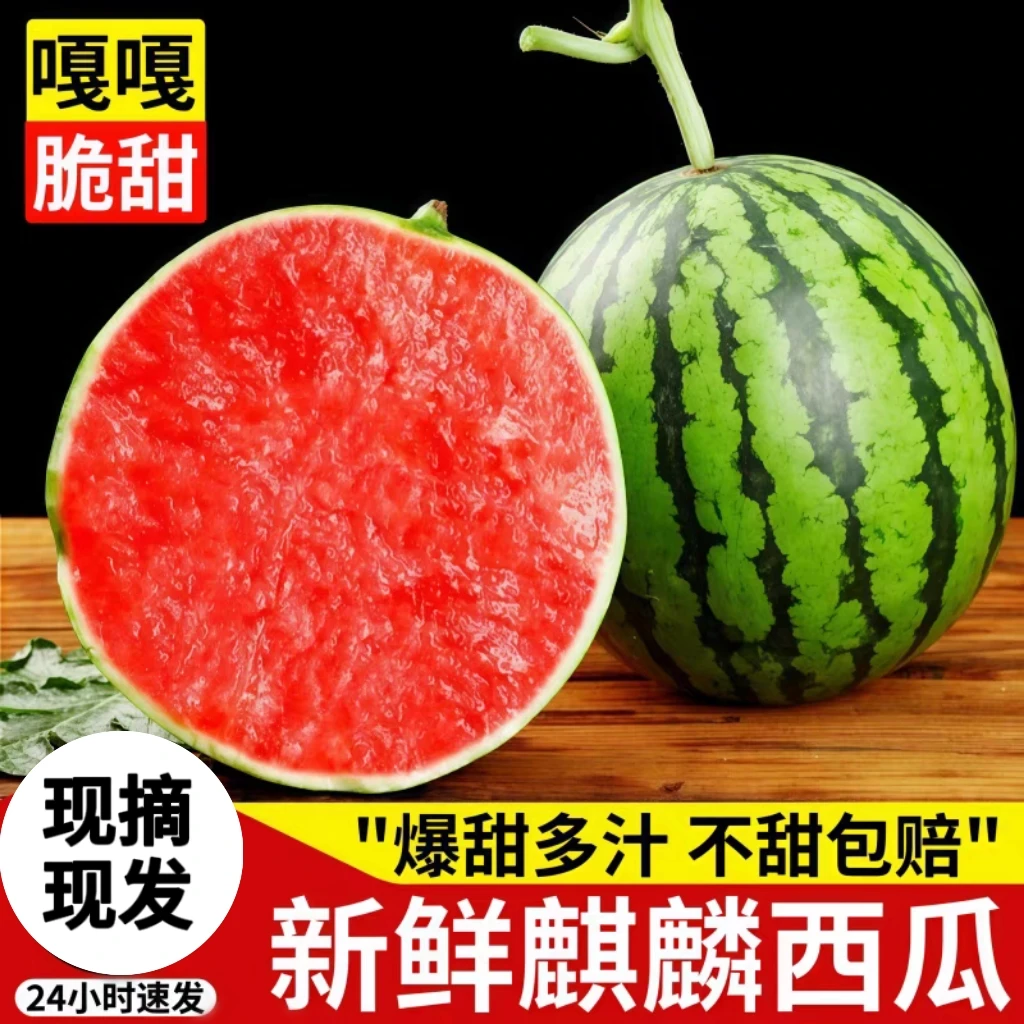 冰糖麒麟西瓜现摘新鲜西瓜皮薄爽脆多汁当季新鲜水果无籽有籽西瓜