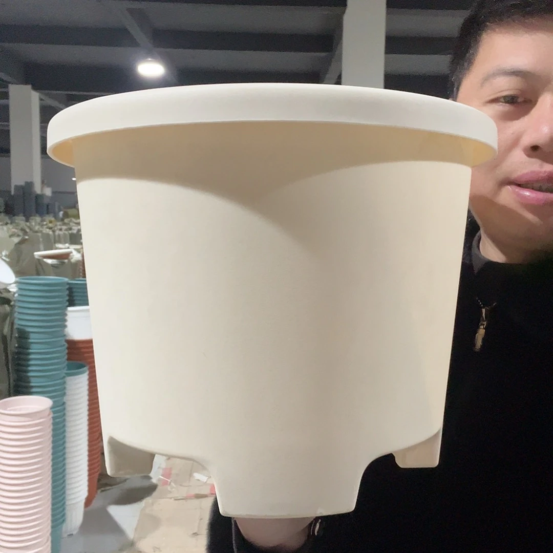 树脂球根圆大号米3个无托