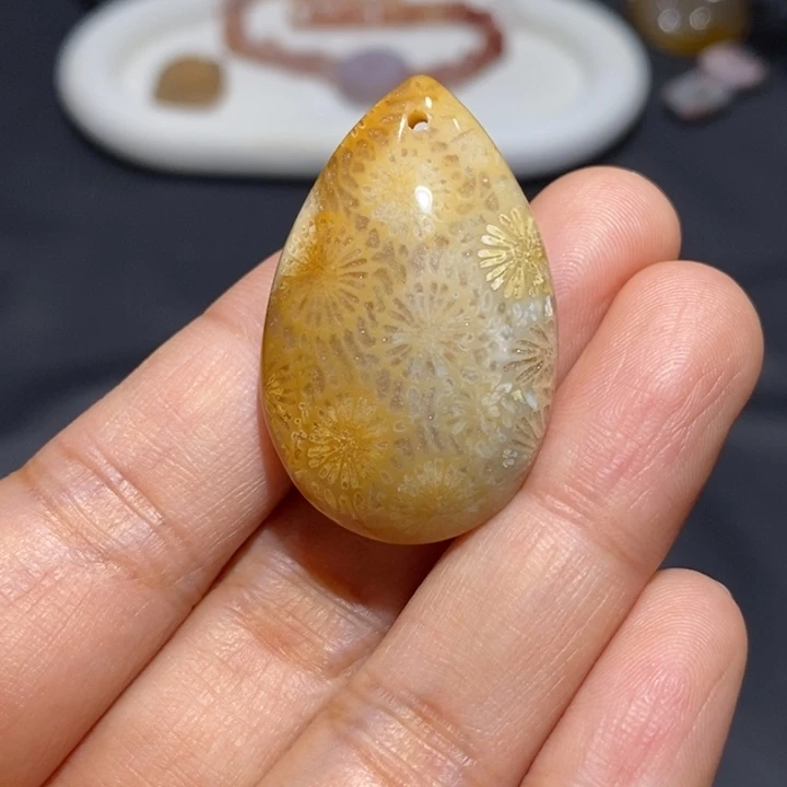 【闪购商品】未镶嵌珊瑚玉硅化玉