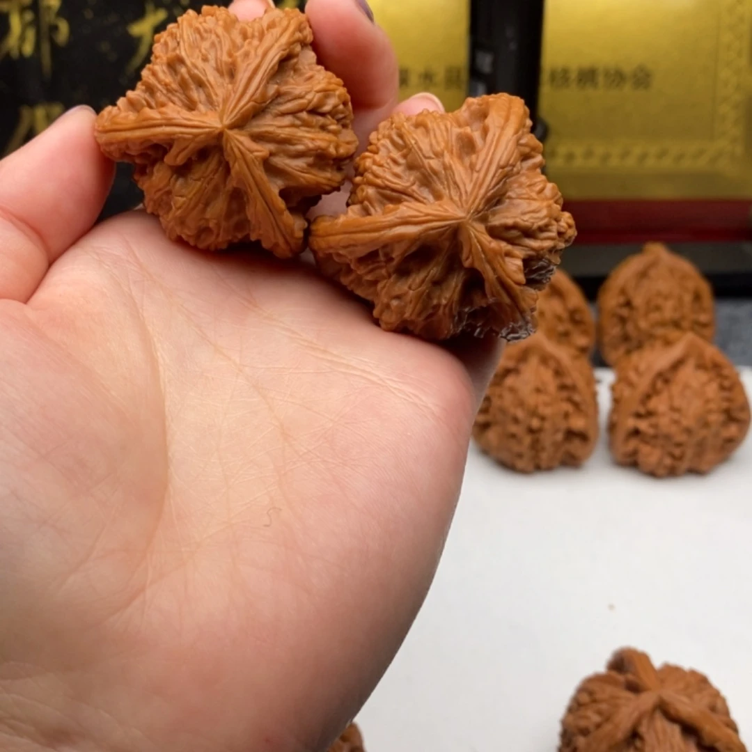 十*白狮子11111111