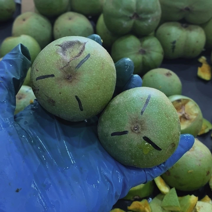 核桃手串/手链盘山三棱