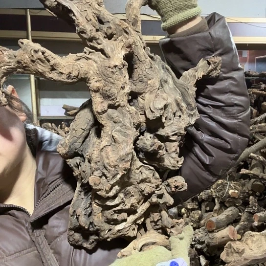 香榧木用****1火琉璃的故事毛料摆件