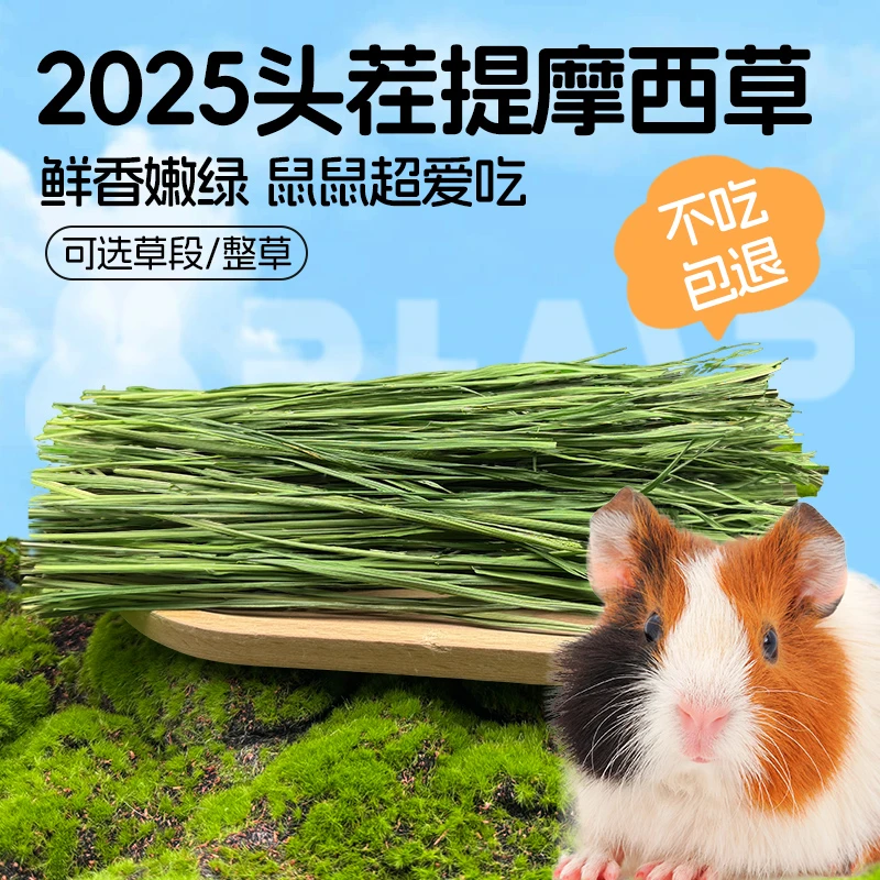 25年新提摩西草烘干头茬兔子草 豚鼠荷兰猪龙猫牧草北提干草