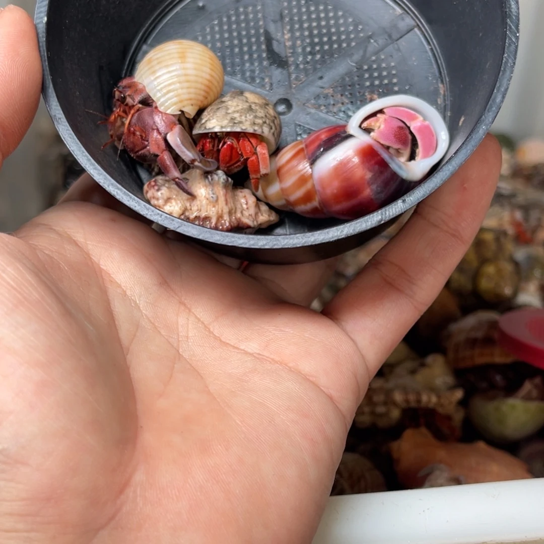 牧***玫这就是所谓一次旅行是不容易