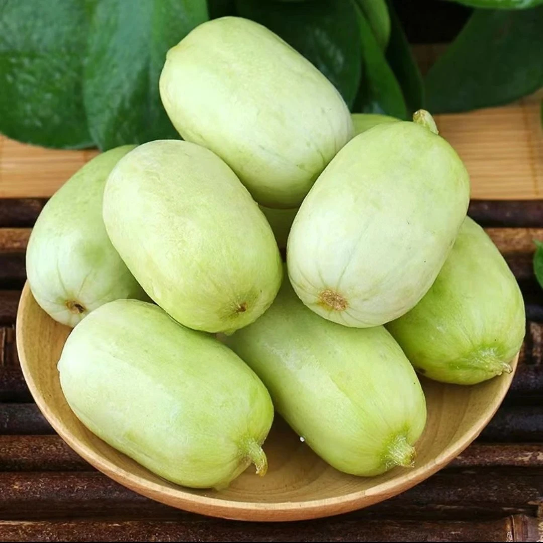 【迷你玉女黄瓜种子】水果黄瓜种子小黄瓜种籽阳台盆栽庭院蔬菜-D