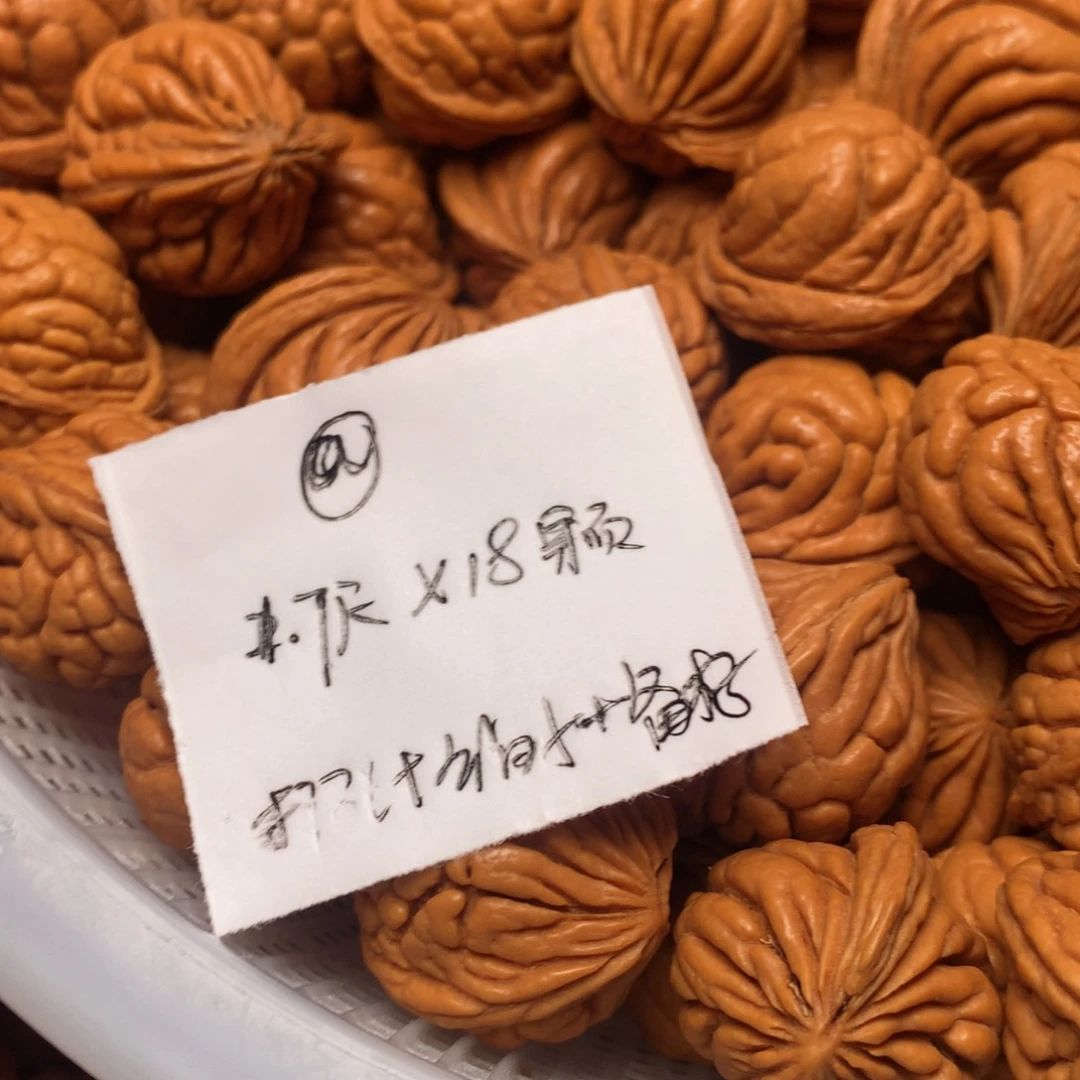 龙纹桃核霸王龙—