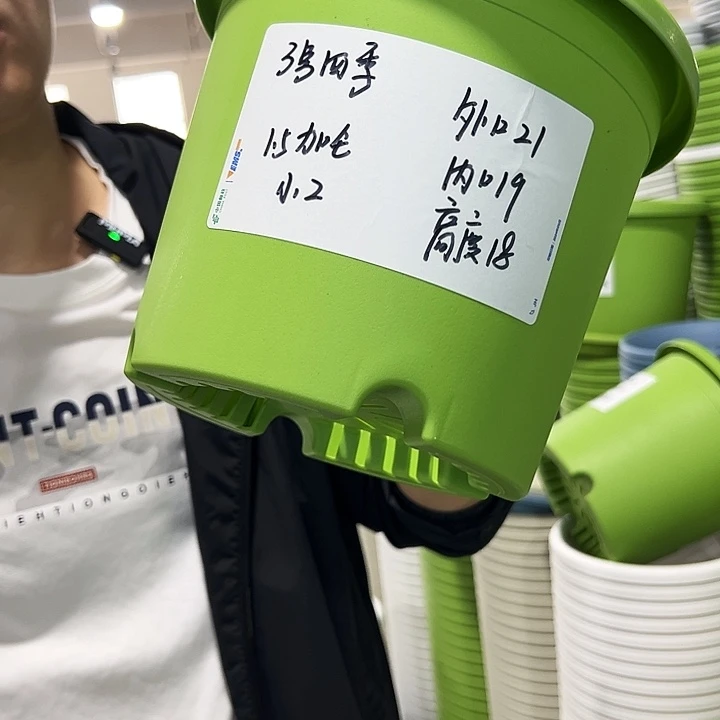 正品3号四季口21高18果绿无托10只