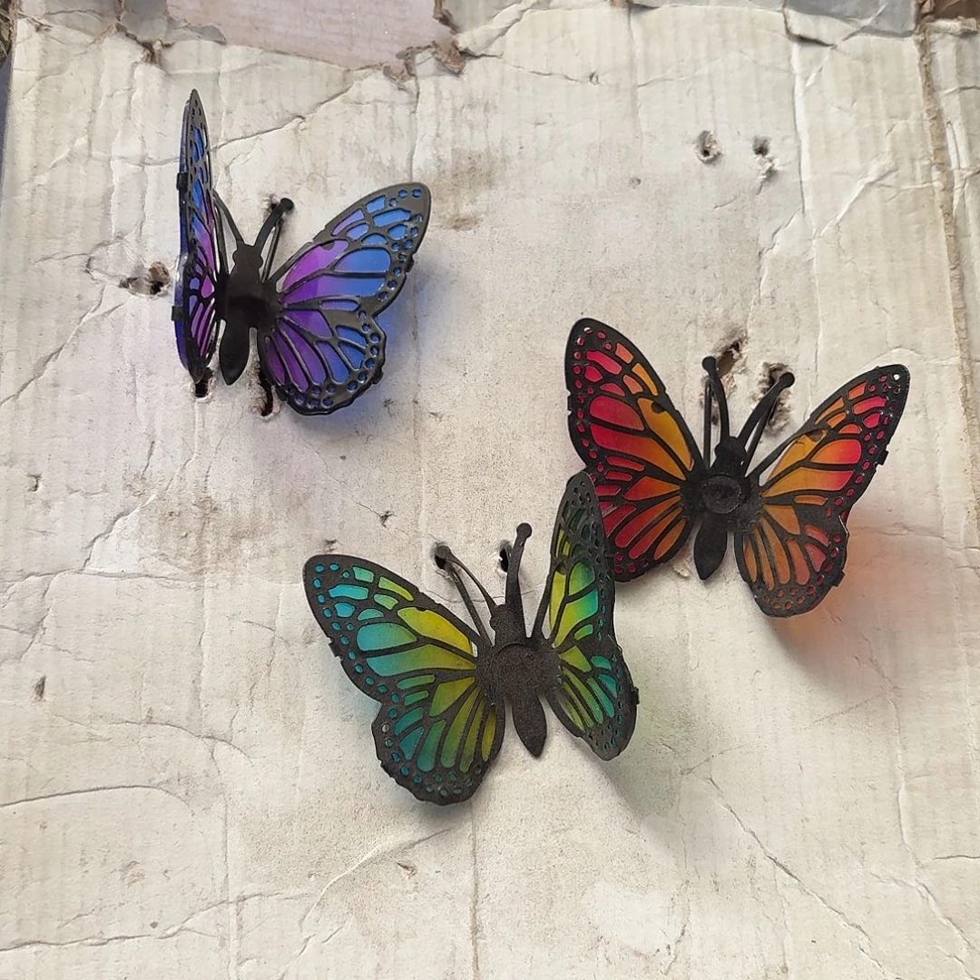 核桃木/黑胡桃（胡桃木）