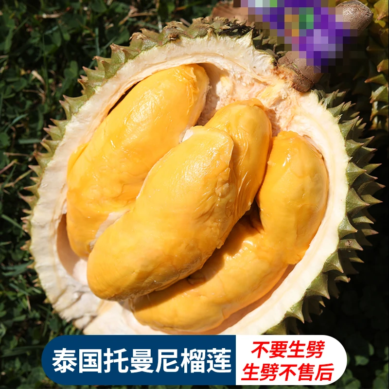 【6顺丰包邮】泰国托曼尼新鲜带壳鲜果榴莲核大肉香保3房起不要生切