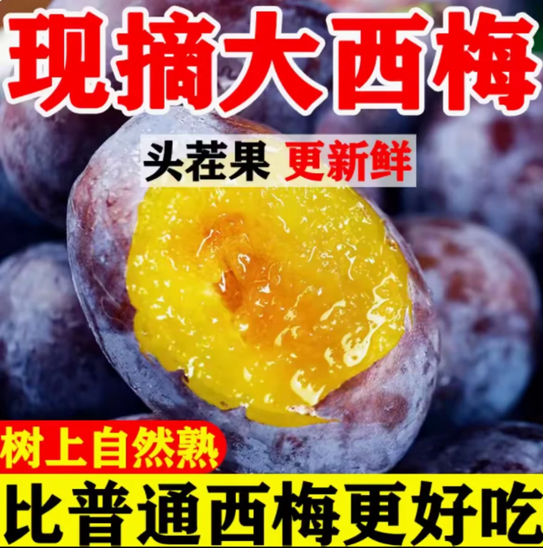 【放软再吃】新鲜现摘大西梅鲜果正宗西梅西梅酸甜可口