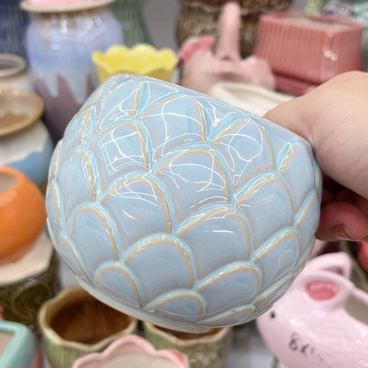 多肉植物陶瓷花盆