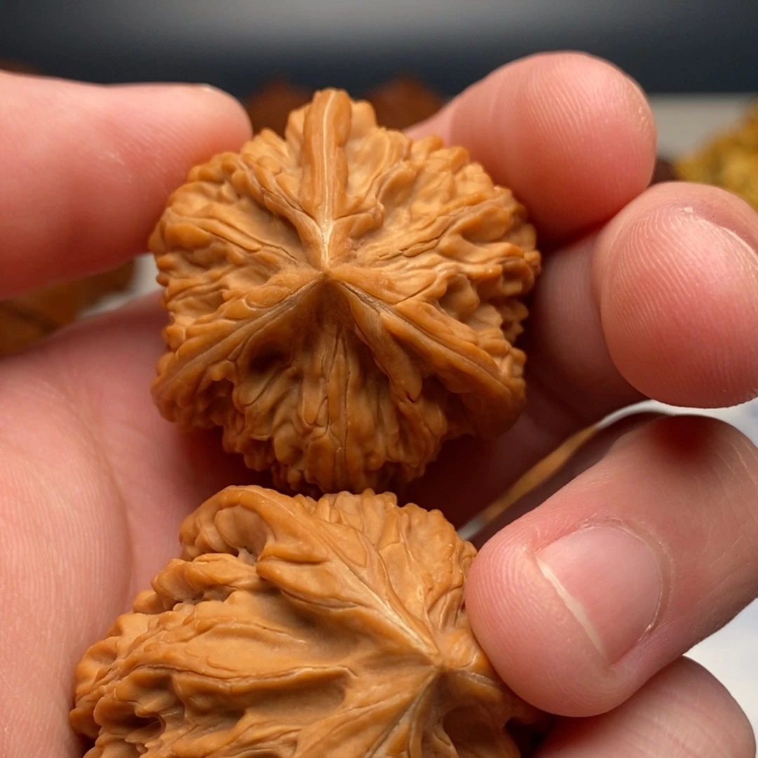 把件文玩核桃38御龙