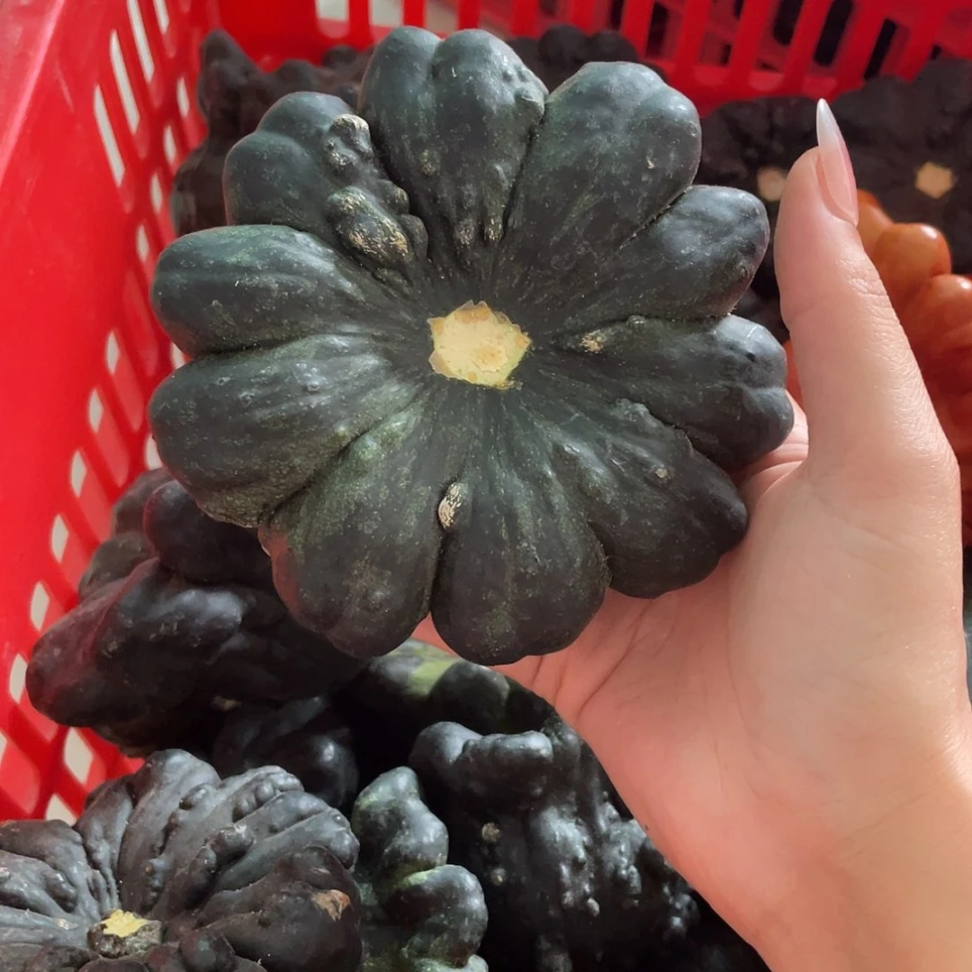 ****发向幸福出发哈哈哈