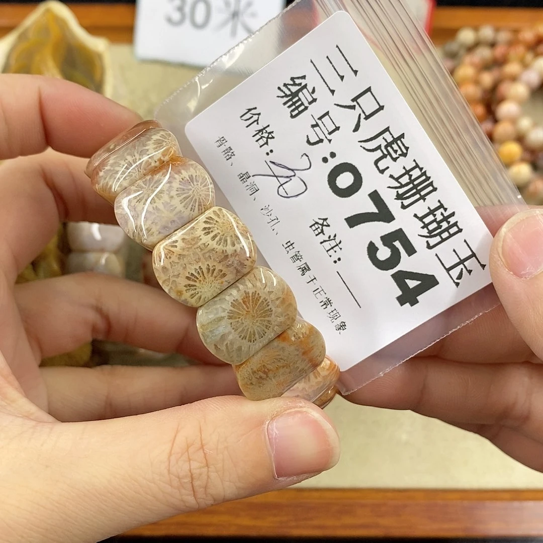 硅化珊瑚（珊瑚玉）1未镶嵌没****水