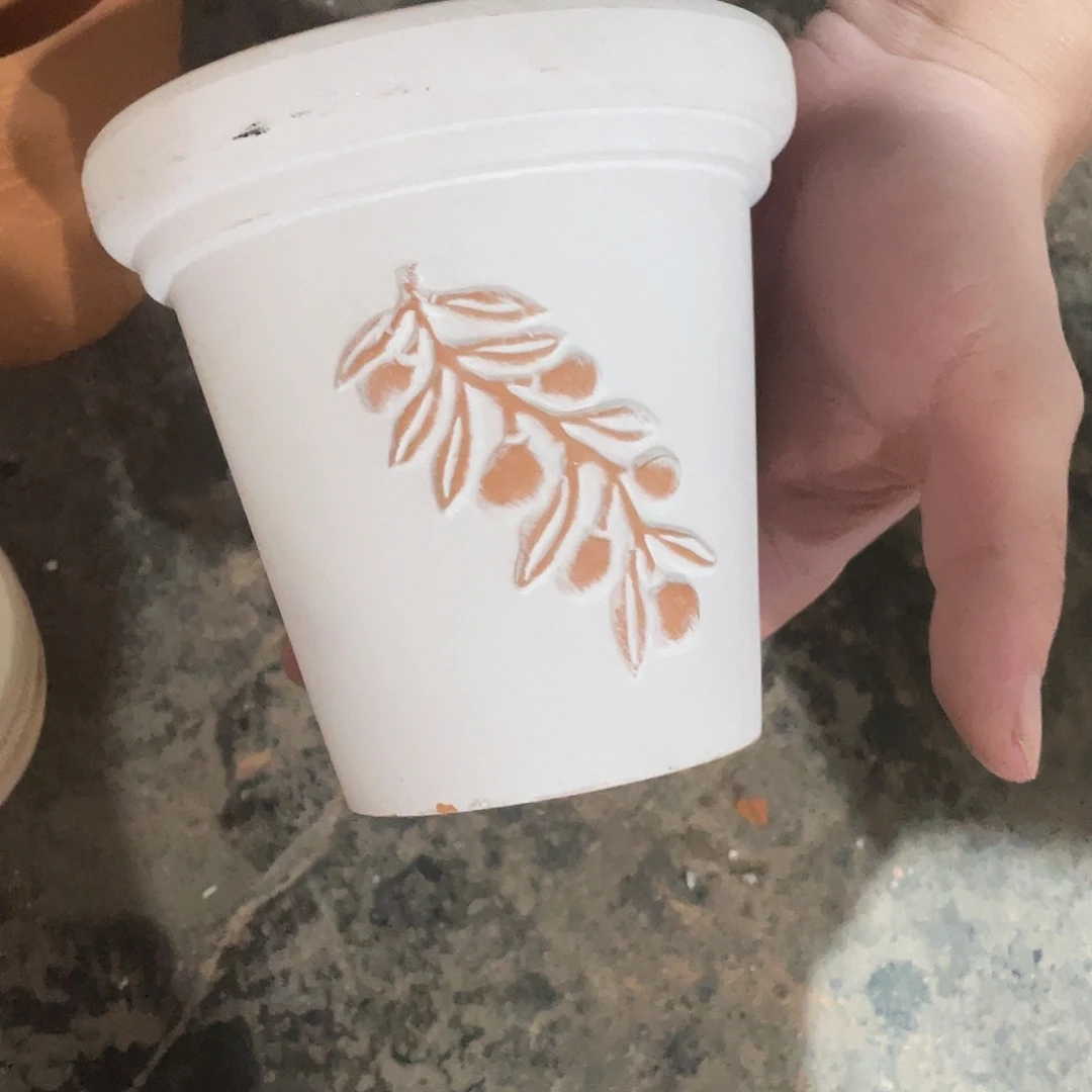 白色橄榄瑕疵一个12口12高