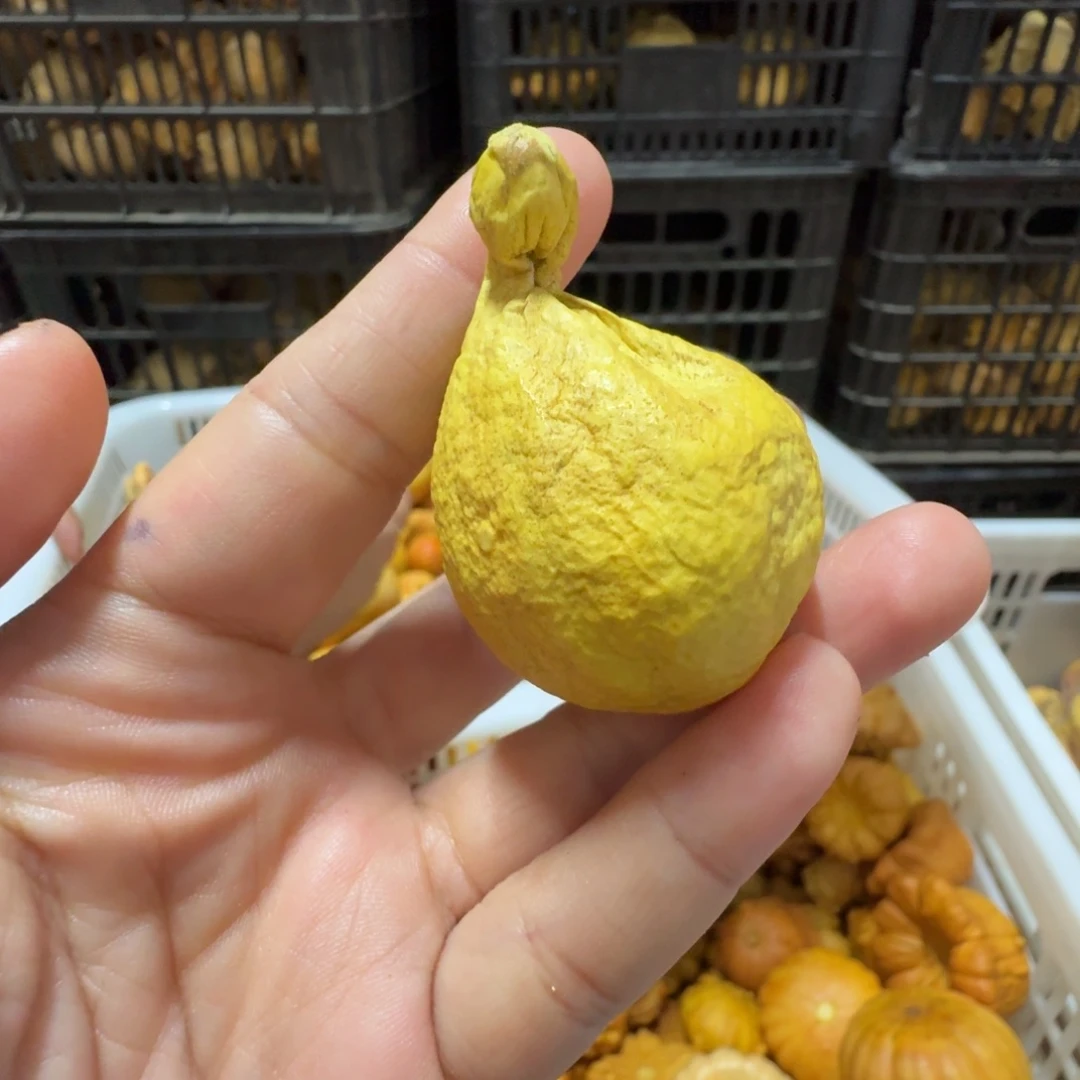 方***元特价抽葫芦不退不换