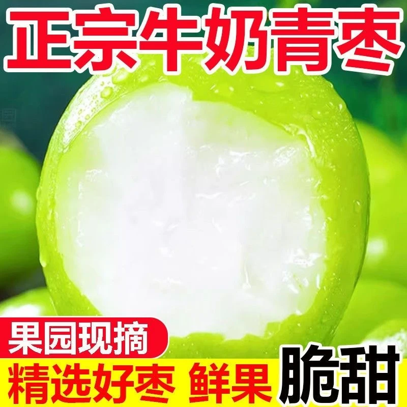 新鲜甜度清脆好吃爽口脆甜成熟云南牛奶大青枣清甜爽脆产地直销