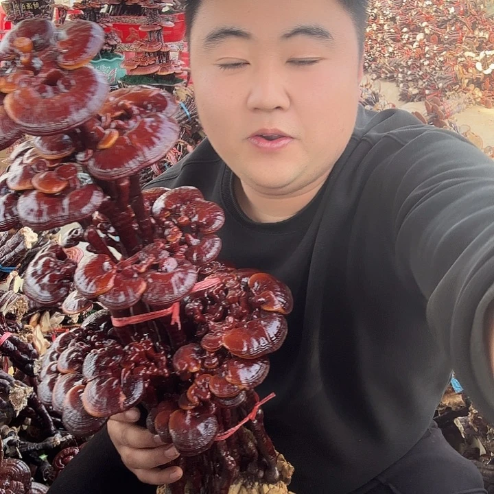 无花朵江灵芝花开了