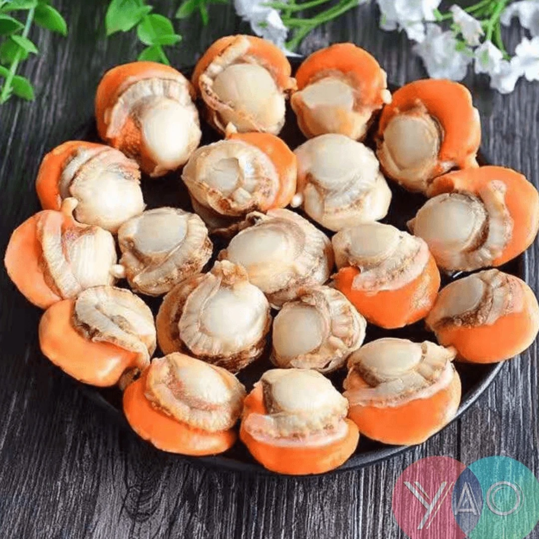 新鲜速冻扇贝肉 精选优质北城红贝  400g/包*5包