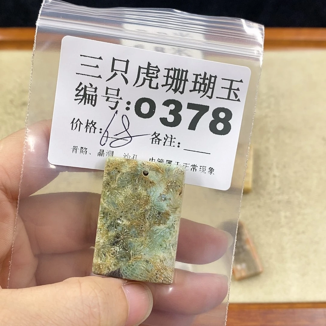 硅化珊瑚（珊瑚玉）1未镶嵌曾**时