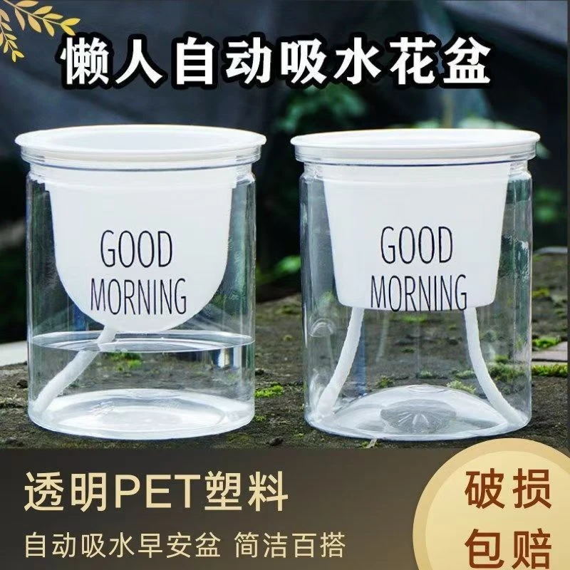 懒人客厅水培土培多肉植物花盆可拆解