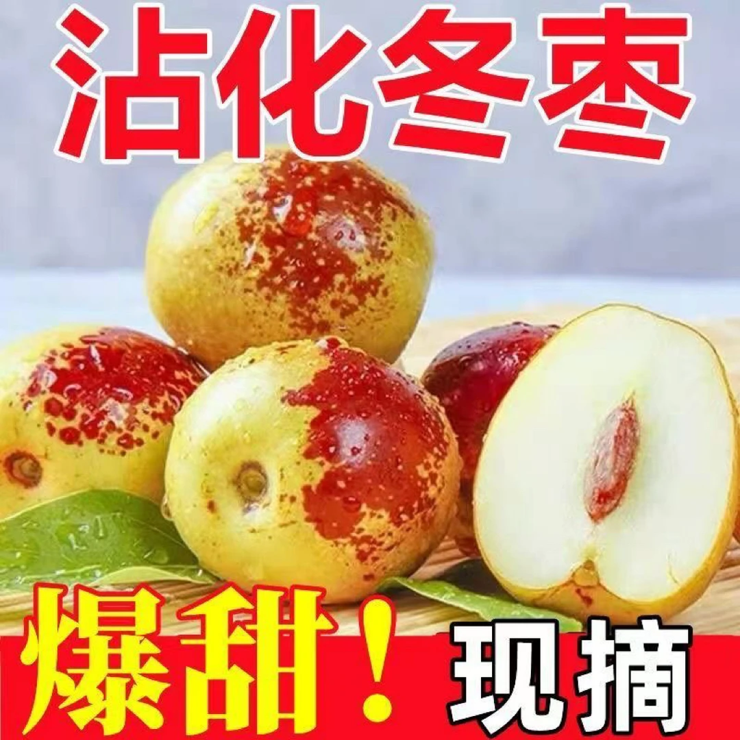 正宗山东沾化冬枣5斤~脆甜多汁皮薄肉厚核小露天自然成熟好吃健康