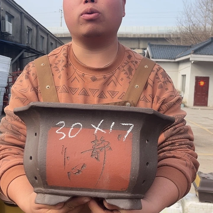 紫砂紫砂花盆盆栽