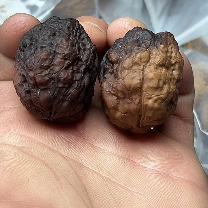 文玩核桃把件33号蛤蟆包41