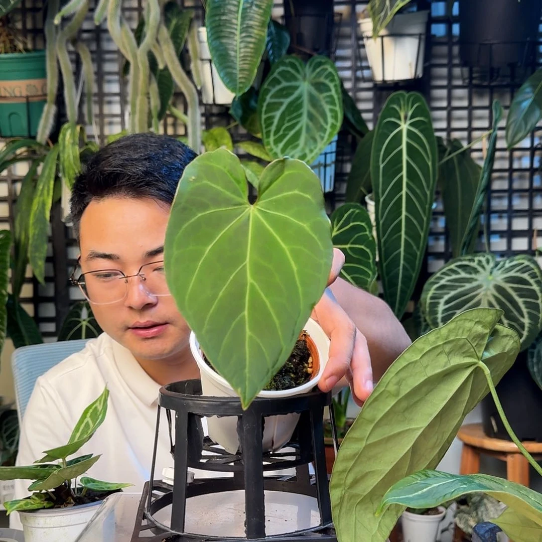 无花朵小**学一物一拍G101