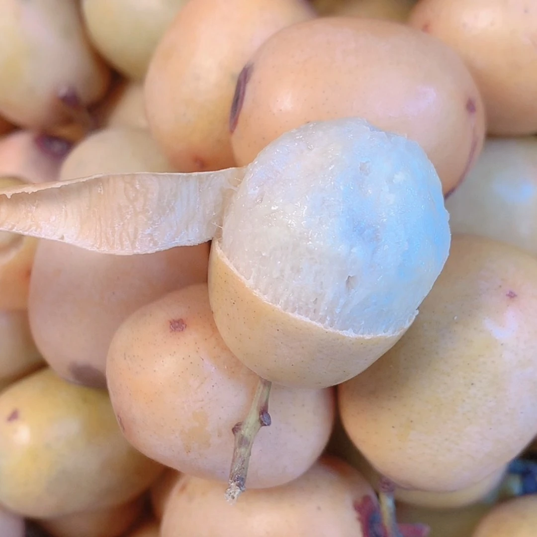 新鲜五眼果南酸枣孕妇水果酸枣鼻涕果广西特产鲜果正宗野酸枣