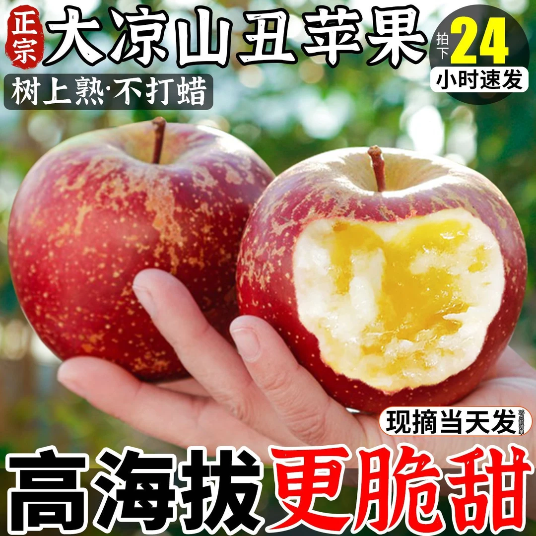 【回购率87%】四川大凉山盐源冰糖心野生丑苹果应季新鲜水果