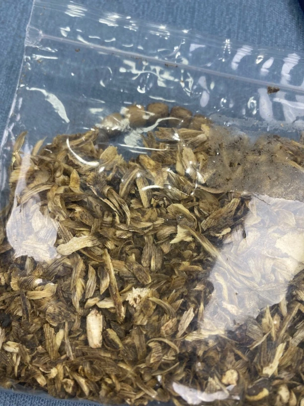 沉香碎屑9多样性发一