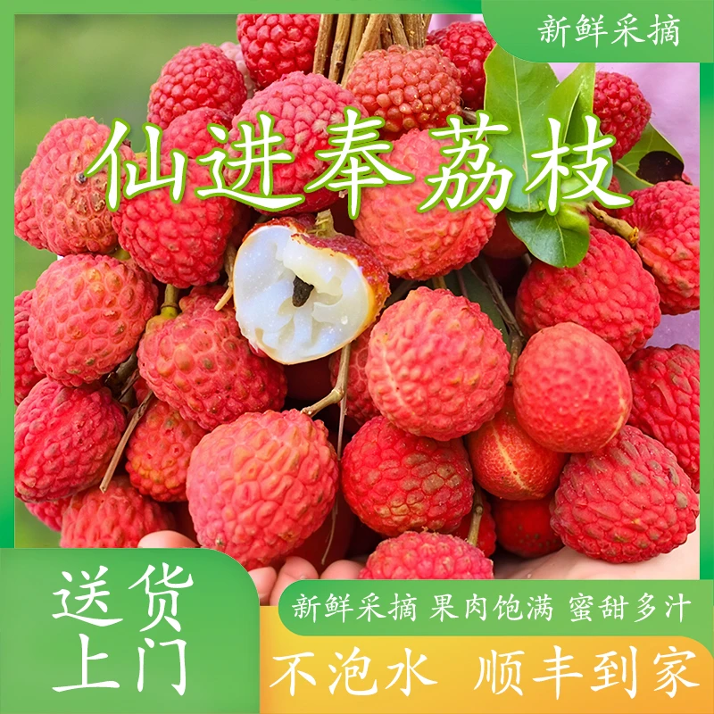 【仙进奉荔枝】现摘仙进奉荔枝王后新鲜不泡水应季水果广东顺丰发货