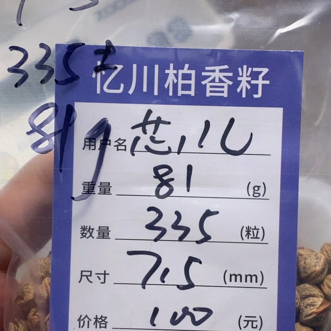 柏香籽/百香籽吊坠芯*