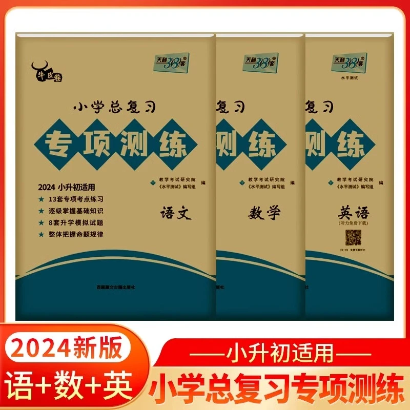 2024版天利38套小学总复习专项测练 3本套 牛皮卷专项突破练习