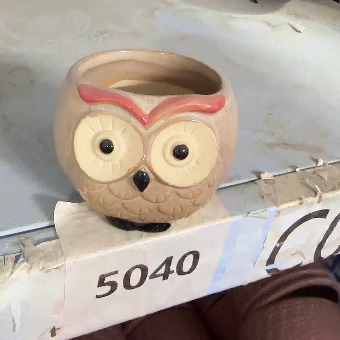 福利局绿植多肉盆［凑9元包邮24小时发］5040