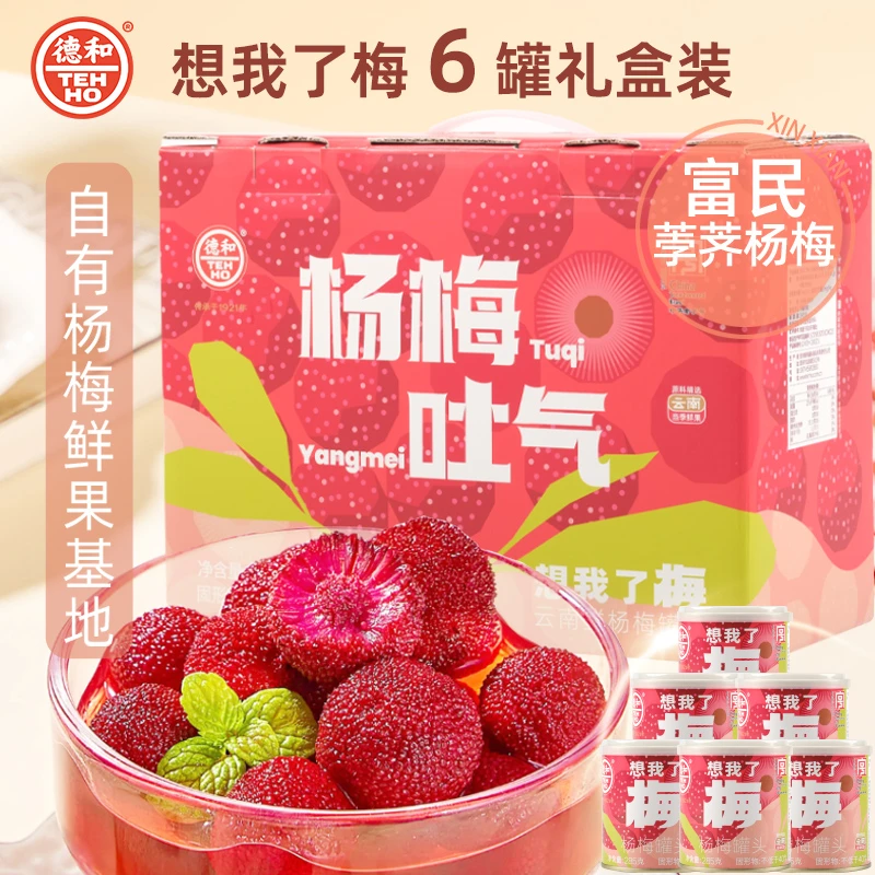 德和想我了梅杨梅水果罐头285g*6罐礼盒装 果味冰镇美味休闲零食