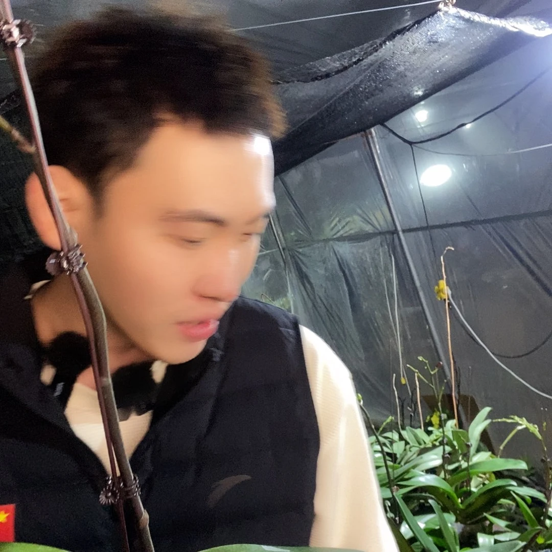 无花朵黑白独角兽