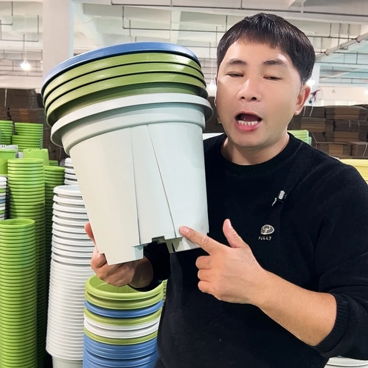 正品青山口32高28果绿色5个无托
