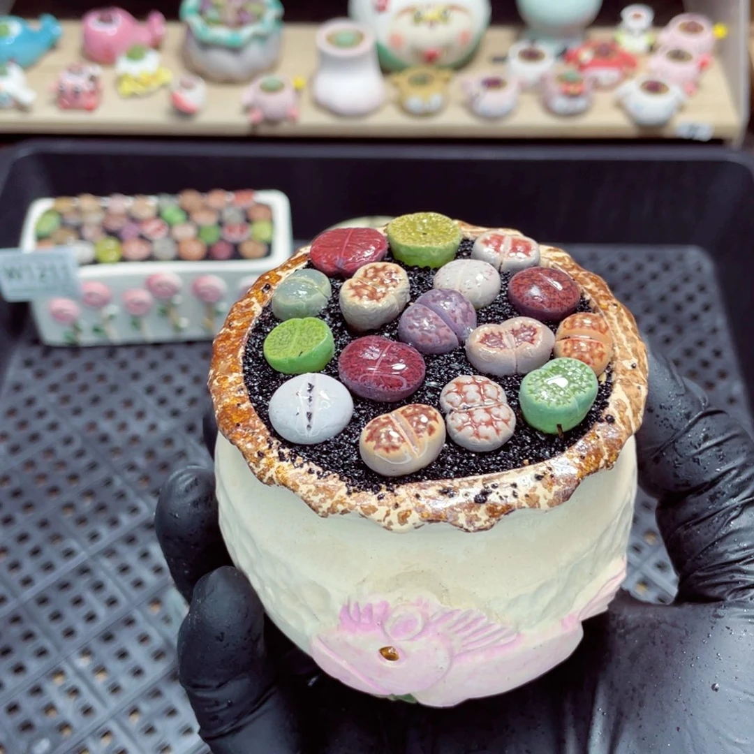 夜间零下地区拍保温箱w1212