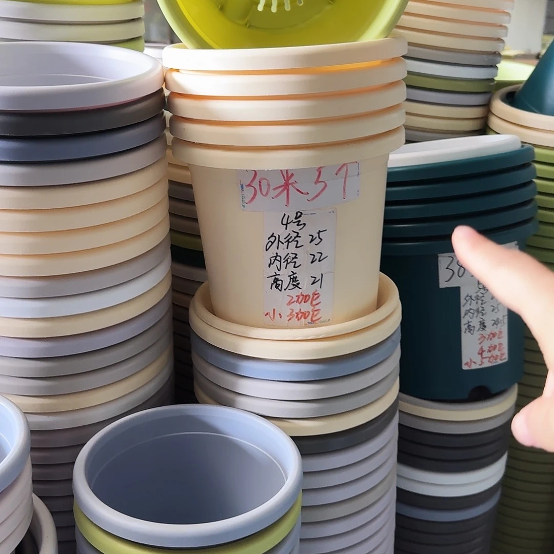 果绿色4号无拖10个
