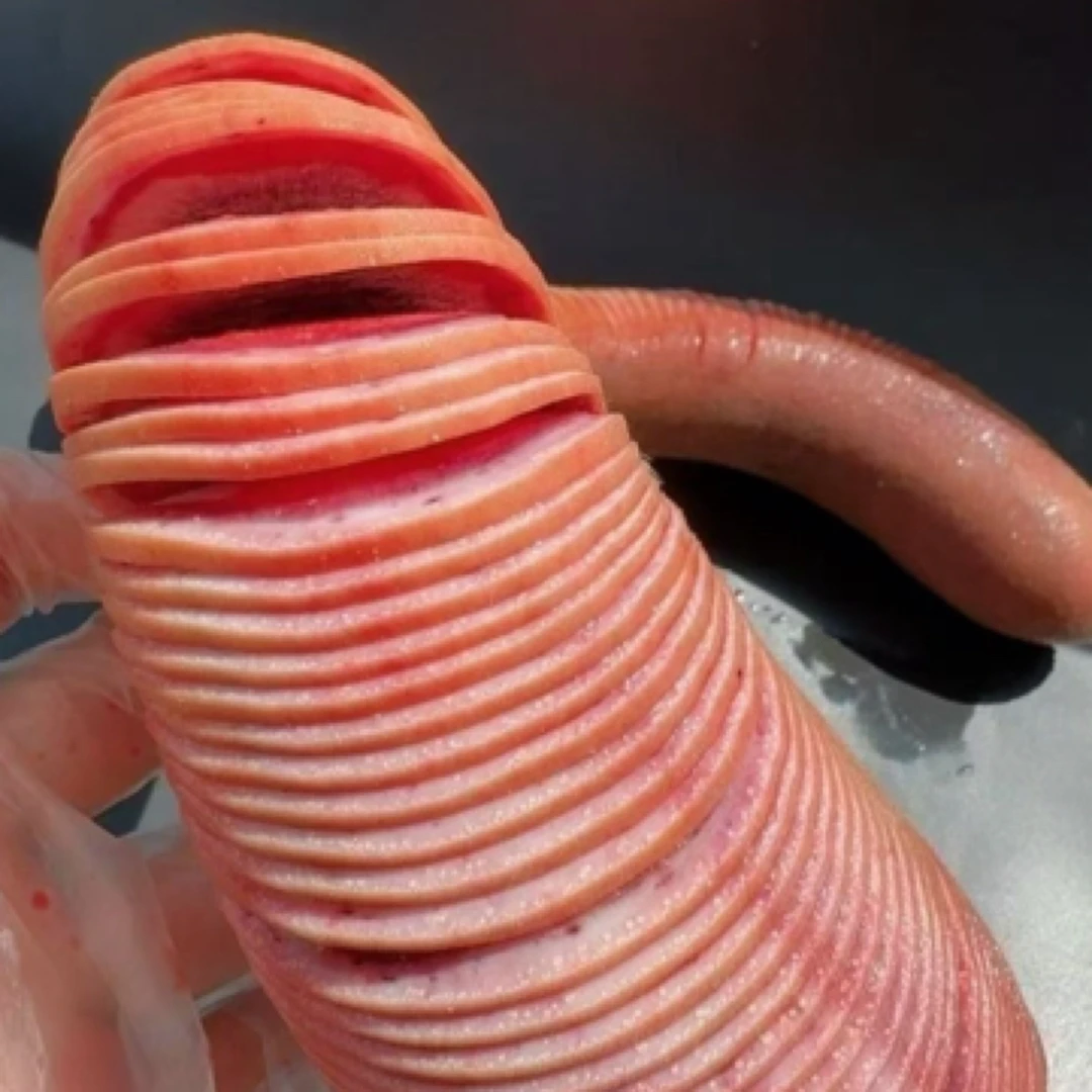 吉林鹿乡新鲜可用于泡酒煲汤煮茶滋补佳品