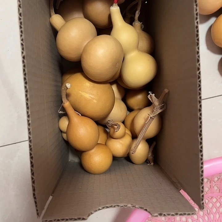 我***1不退不换不退不退