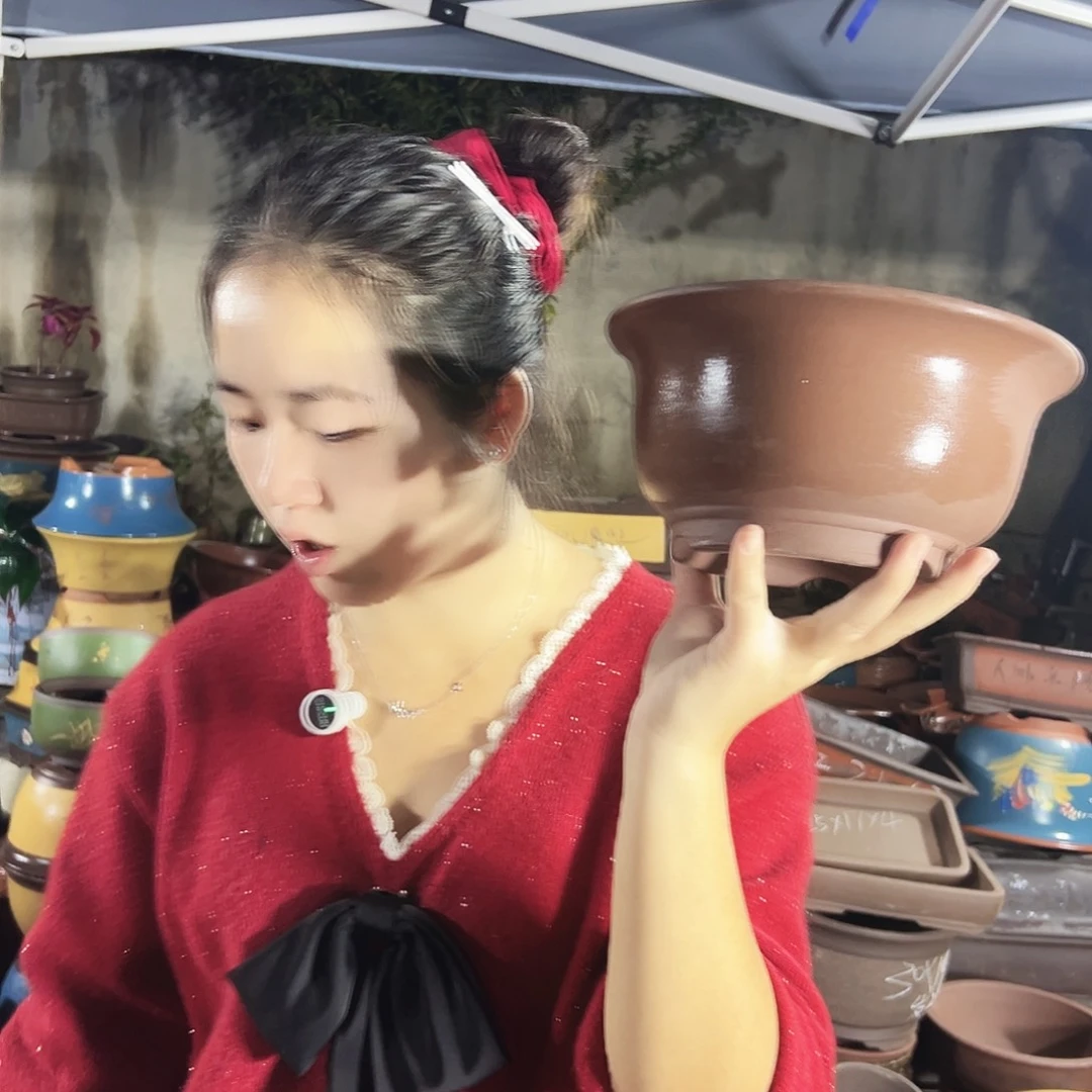 21查林小碗花盆花盆